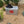 Load image into Gallery viewer, Vintage Pearl Beer XXX Camping Ice Chest - Aluminum
