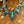 Load image into Gallery viewer, Vintage Squash Blossom with 5 Large turquoise stones
