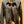 Load image into Gallery viewer, Eat Dust Denim Jacket - used and embellished with Dos Laredos Brand Patch
