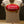 Load image into Gallery viewer, Womens Vintage Carta Blanca Cerveza Shirt Medium
