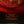 Load image into Gallery viewer, Vintage Texas hatters &quot;HI ROLLER&quot; Beaver Hat with feather hat band
