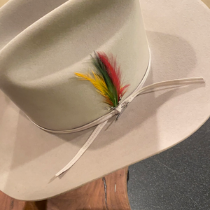 Stetson Hat with JBS Pin and Ribbon Band and Feather