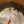 Load image into Gallery viewer, Laredo Hats Dynafelt Hat
