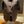 Load image into Gallery viewer, Denim and Leather Bar Vest NO BUTTONS
