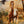 Load image into Gallery viewer, Los Caballos Guayabera Style
